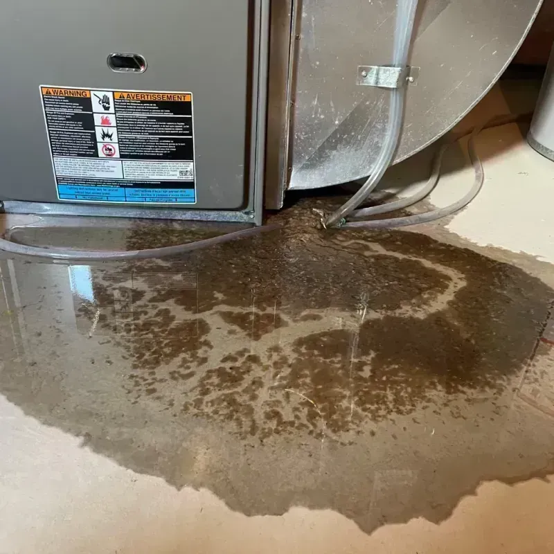 Appliance Leak Cleanup in Kasson, MN